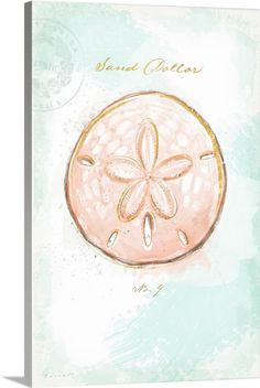 a pink sand dollar sitting on top of a blue and green background