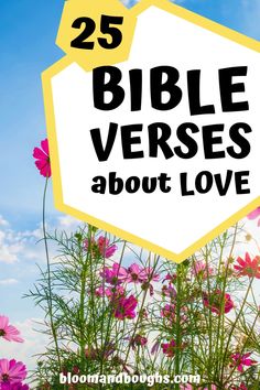 flowers with the words 25 bible verses about love on it in front of a blue sky