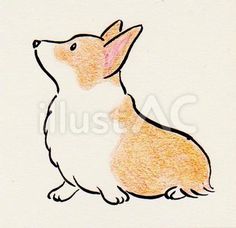 a drawing of a corgi sitting on its hind legs and looking up at the sky