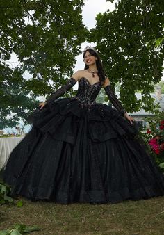 Black Quince Dress, Black Quince Dresses, Quinceanera Themes Dresses, Quince Dress, Dresses Quinceanera, Princess Ball Gowns, Mori Lee