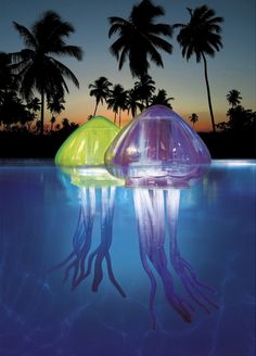 two jellyfishs floating in the water at dusk with palm trees in the background