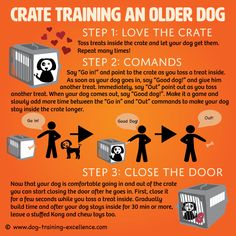 an orange poster with instructions on how to use crate training for older dogs and cats