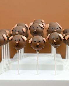 there are many chocolate cake pops with brown icing on sticks in the shape of animals