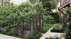 an outdoor garden with lots of green plants