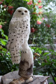 an owl statue sitting on top of a piece of wood