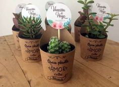 three small potted plants with labels on them sitting on a wooden table next to each other