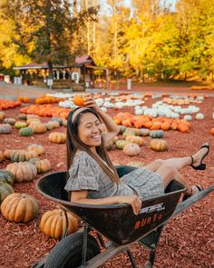 a woman sitting in a wheelbarrow with pumpkins on the ground behind her