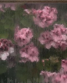 pink flowers are seen through the rain covered window