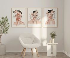 three framed pictures hang on the wall above a chair in a room with a potted plant