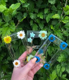 someone is holding three clear cases with daisies on them and blue flowers in the middle