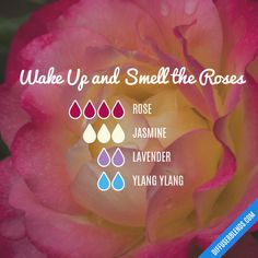 Rose Essential Oil Blends, Essential Oil Remedy