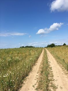 a dirt road in the middle of a field