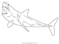 a drawing of a shark with its mouth open