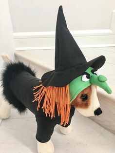 a dog dressed up as a witch for halloween