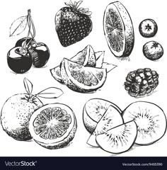 various fruits and vegetables drawn by hand