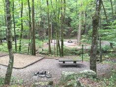 a picnic area in the middle of a forest with benches and firepits around it