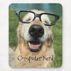 a golden retriever dog wearing glasses with the caption computer nerd mouse pad