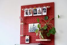 a red pegboard with pictures and plants on it