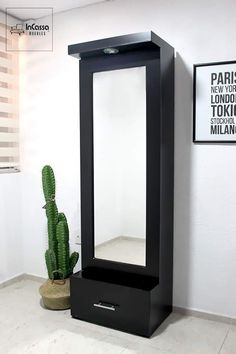 a tall black mirror sitting next to a cactus