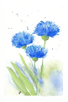 three blue flowers are shown in this watercolor painting