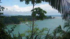 the ocean is surrounded by lush green trees