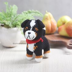 a small black and white dog with a red collar standing next to some pears