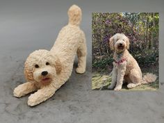 two photos of a toy dog and a teddy bear in the same photo, one is white with brown fur