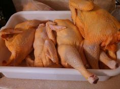 several chickens are in a white container on the counter