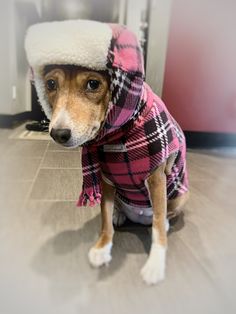 a small dog wearing a pink and black plaid coat with a white hat on it's head