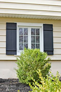 a bush in front of a house with black shutters