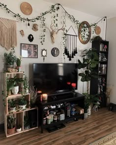 a living room filled with lots of plants and decorations on the wall above a flat screen tv