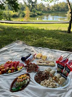 an outdoor picnic with food and drinks on the blanket in front of water, trees, and grass