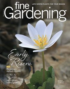 the cover of fine gardening magazine with a white flower in it's center surrounded by leaves