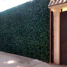 a tall green hedge next to a building