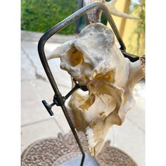 an animal skull is sitting on top of a metal stand and has yellow eyes in it's center