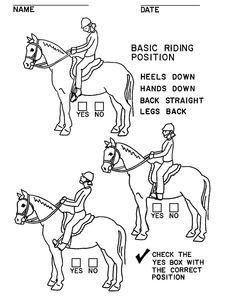 an image of horse and rider instructions