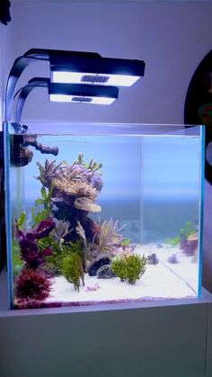 an aquarium is shown with the light on and some fish in it's tank