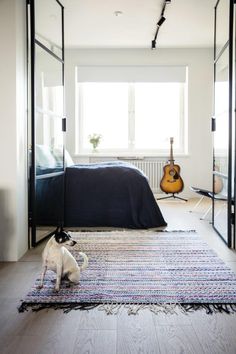 a small dog sitting on top of a rug next to a bed in a bedroom