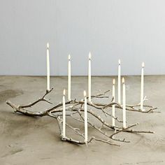 a bunch of white candles sitting on top of a wooden branch in front of a wall