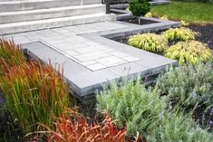 an outdoor garden with various plants and steps