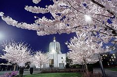 the trees are blooming in front of the building at night with bright lights shining on them