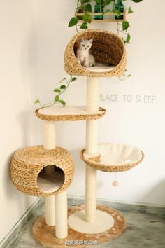 a cat is sitting on top of a scratching tower with plants growing out of it