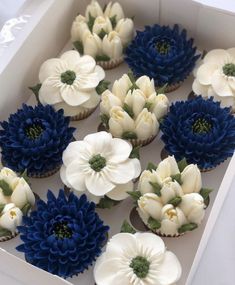 cupcakes decorated with white and blue flowers in a box