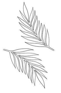 two leaves are shown in black and white, one is drawn on the other side