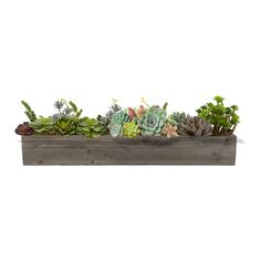 a wooden planter filled with succulents and other plants on top of a white background