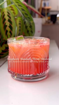 a glass filled with pink liquid sitting on top of a table next to a potted plant