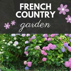 a sign that says french country garden in front of some bushes and flowers with the words