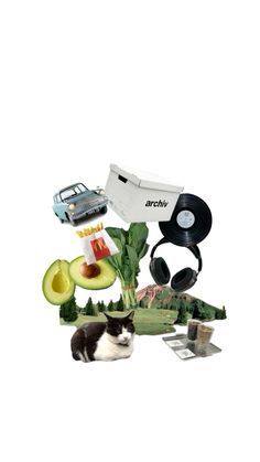 a cat laying on the ground next to an assortment of items that include avocado, sunglasses and headphones