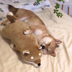 a dog laying on top of a bed next to a stuffed animal deer pillow and plant