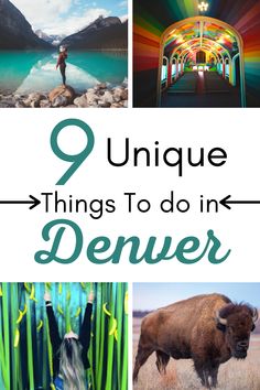 the words unique things to do in denver with images of bison, mountains and people